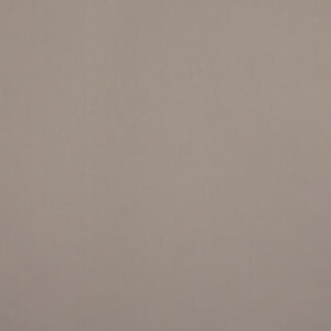 Polaris Standard Rollers Blind - Oatmeal